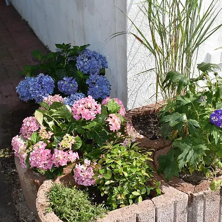 Tatil Evi Haus Pries *